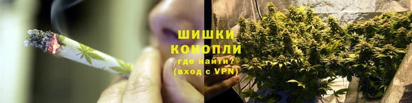 ГАЛЛЮЦИНОГЕННЫЕ ГРИБЫ Абаза