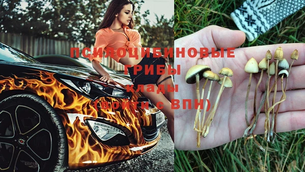 гашик Абинск