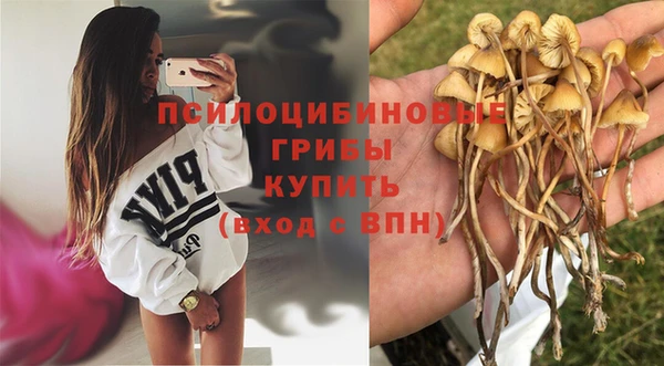 прущая мука Абдулино
