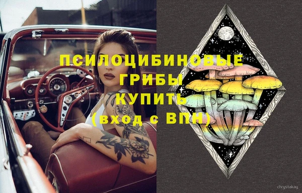 ГАЛЛЮЦИНОГЕННЫЕ ГРИБЫ Абаза
