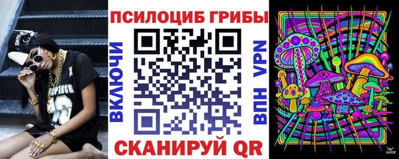 hydra tor  Благовещенск  Псилоцибиновые грибы Cubensis 